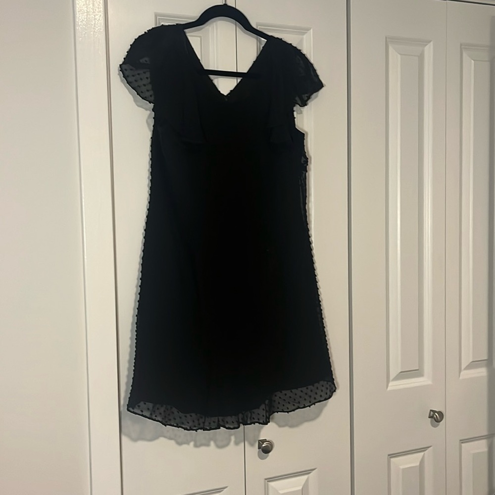 J crew size 8 textured Swiss dot mini dress